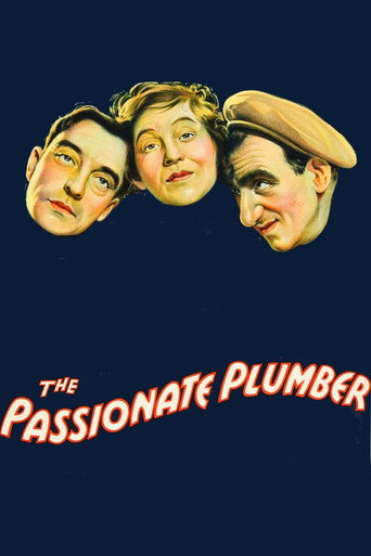 Póster de The Passionate Plumber