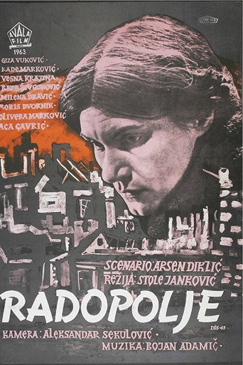 Póster de Radopolje