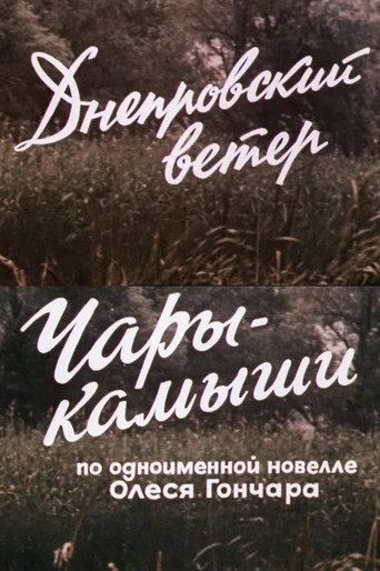 Póster de Днепровский ветер. Чары-камыши.
