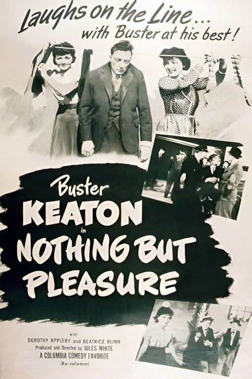 Póster de Nothing But Pleasure
