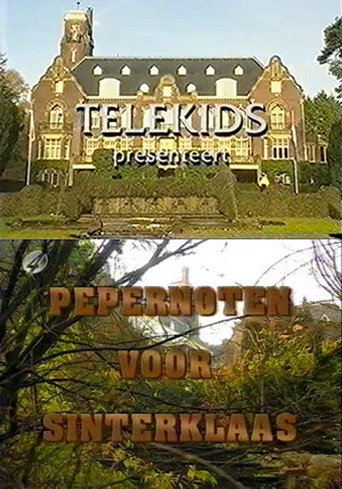 Póster de Pepernoten voor Sinterklaas