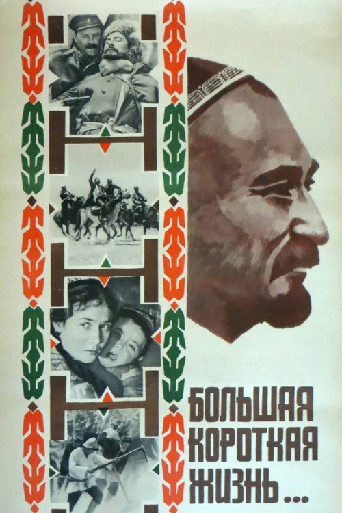 Póster de Большая короткая жизнь