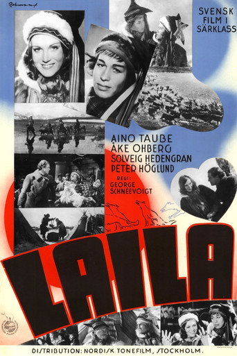 Póster de Laila
