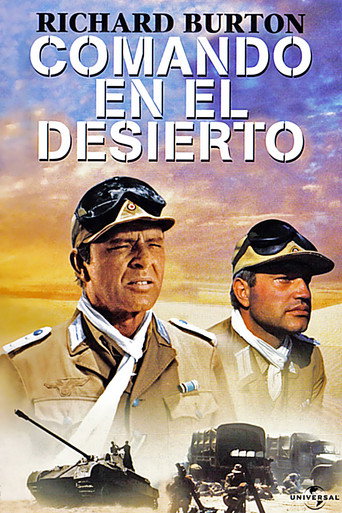 Póster de Raid on Rommel