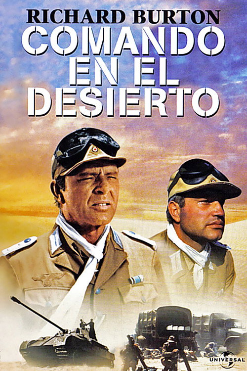 Póster de Raid on Rommel