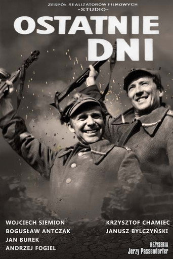 Póster de Ostatnie dni