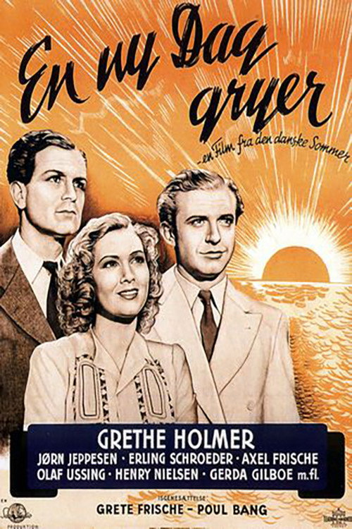 Póster de En ny dag gryer