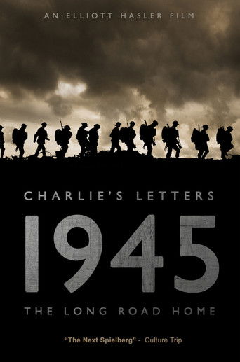 Póster de WWII: The Long Road Home