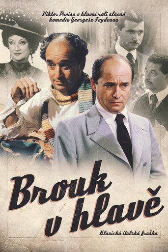 Póster de Brouk v hlavě