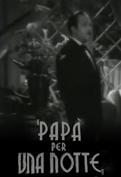 Póster de Papà per una notte