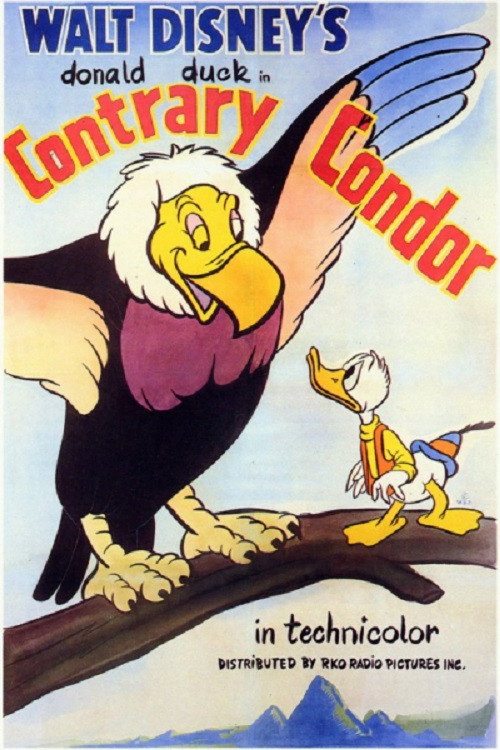 Póster de Contrary Condor