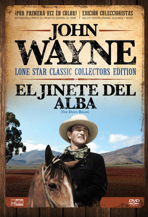 Póster de The Dawn Rider