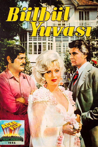 Póster de Bülbül Yuvası