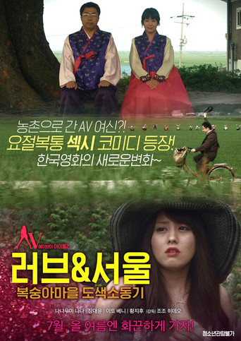 Póster de 韓国に嫁いだ女