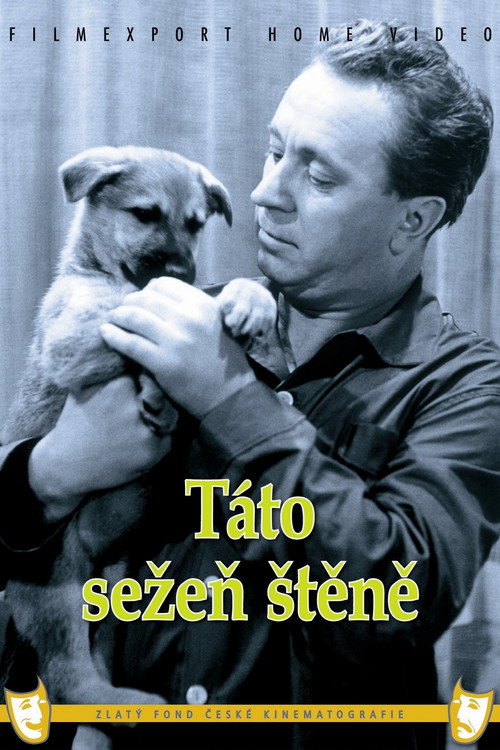 Póster de Táto sežeň štěně