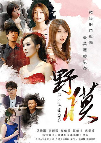 Póster de 野模