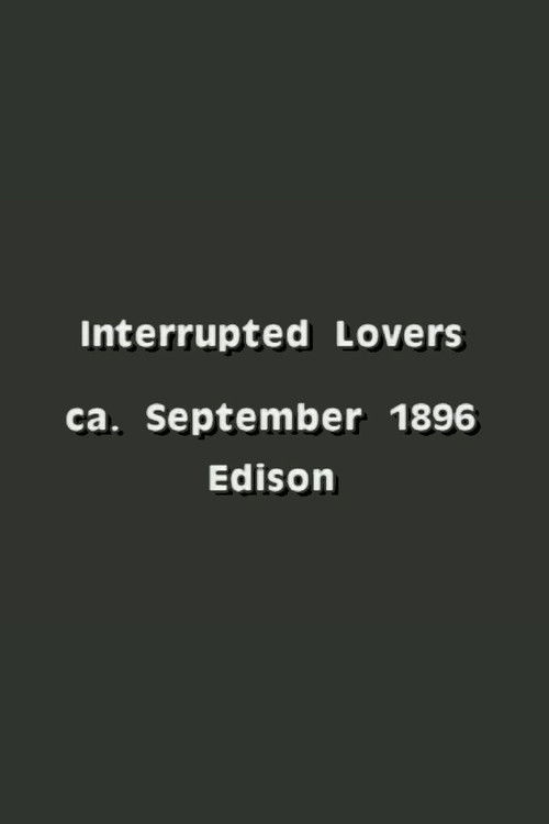 Póster de Interrupted Lovers