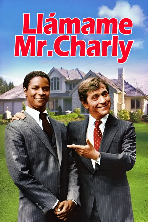 Póster de Carbon Copy