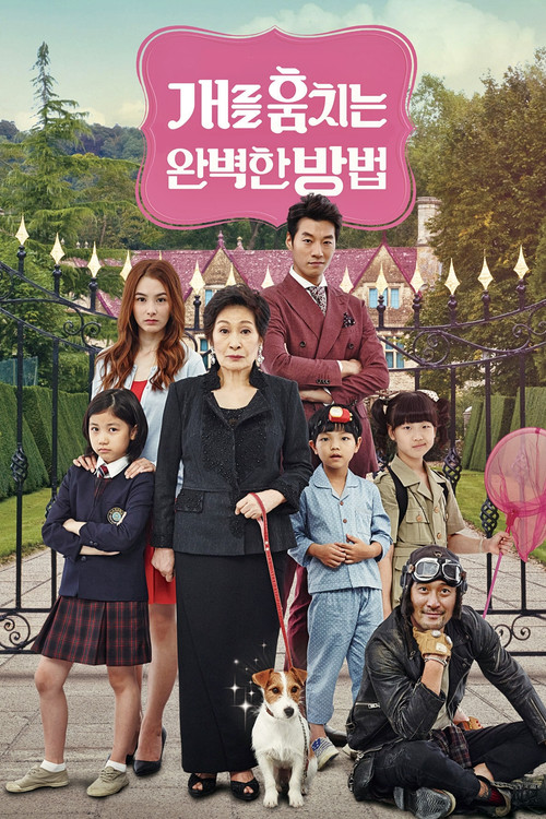 Póster de 개를 훔치는 완벽한 방법