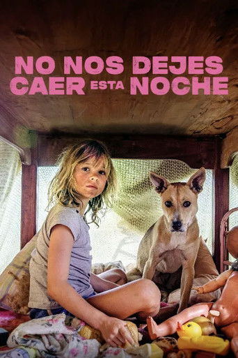 Póster de No nos dejes caer esta noche