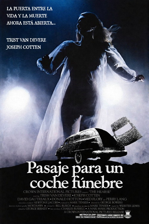 Póster de The Hearse