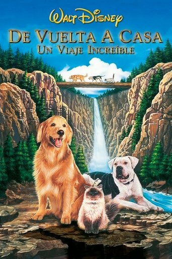 Póster de Volviendo a Casa: Un Viaje Increíble