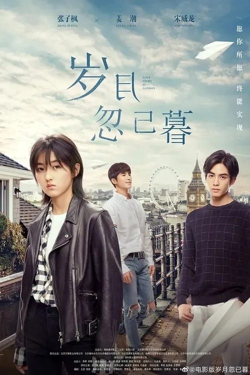 Póster de 岁月忽已暮