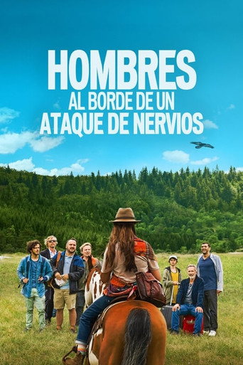 Póster de Hommes au bord de la crise de nerfs