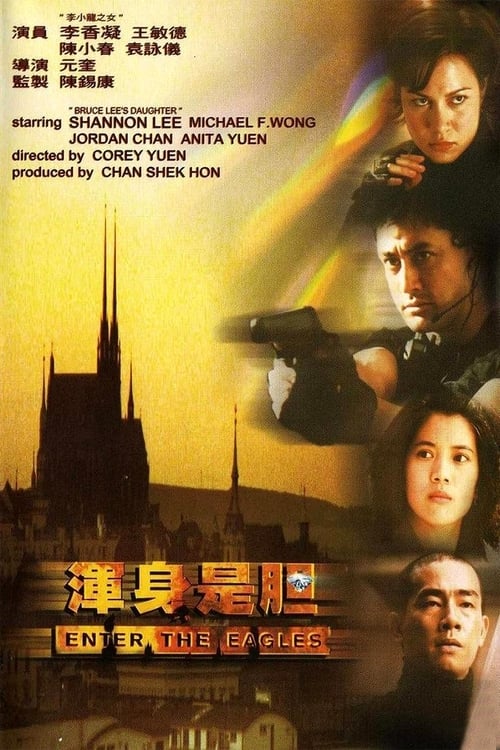 Póster de 渾身是膽