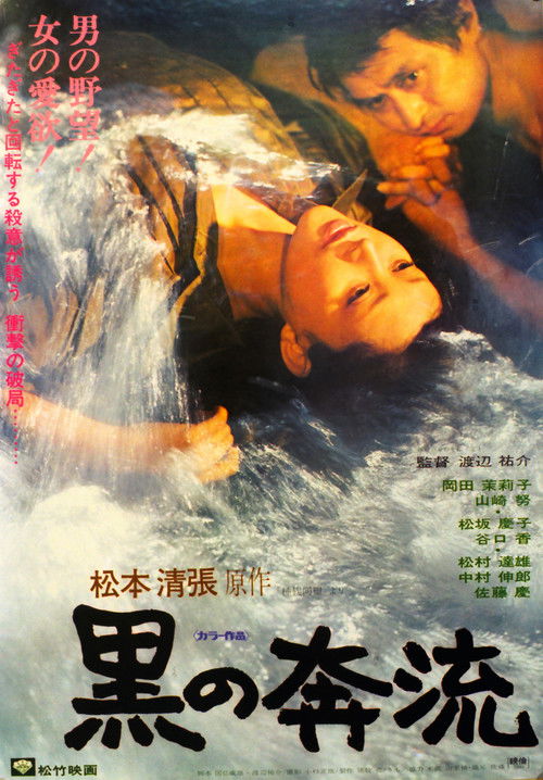 Póster de 黒の奔流