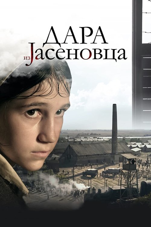 Póster de Дара из Јасеновца