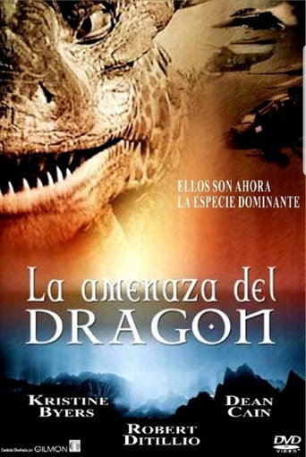 Póster de Dragon Fighter
