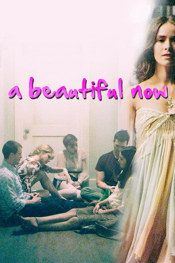 Póster de A Beautiful Now