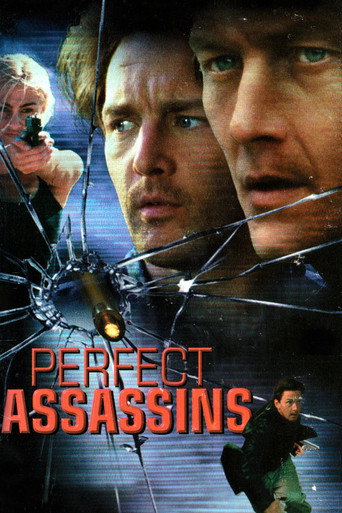 Póster de Perfect Assassins