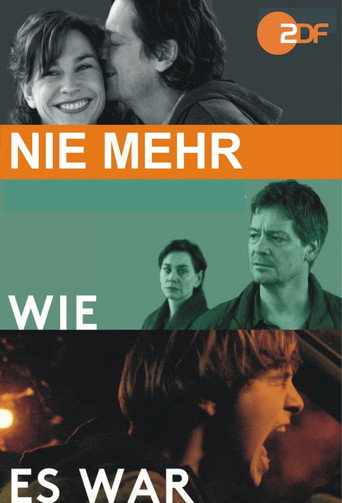 Póster de Nie mehr wie es war