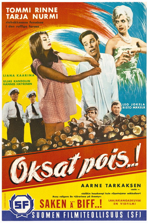 Póster de Oksat pois…
