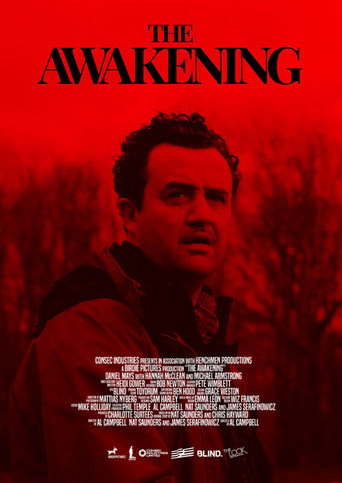 Póster de The Awakening