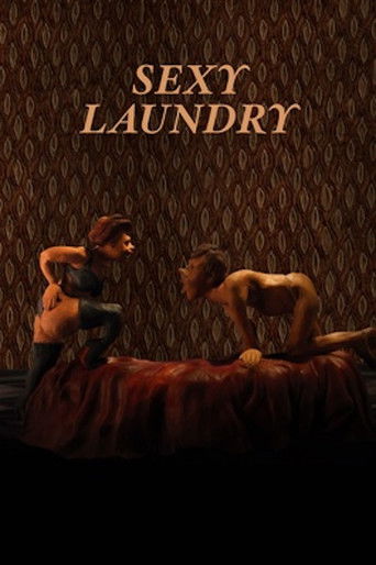 Póster de Sexy Laundry