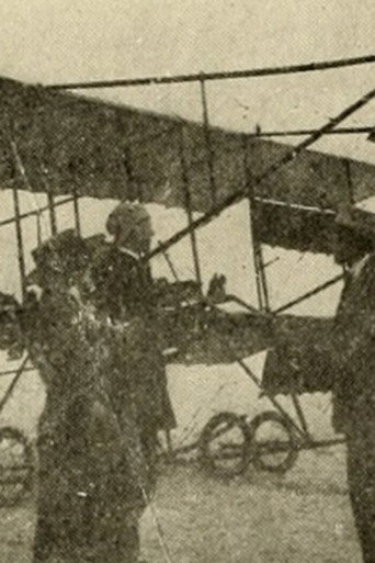 Póster de Flying to Fortune