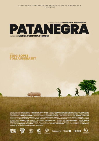 Póster de Patanegra
