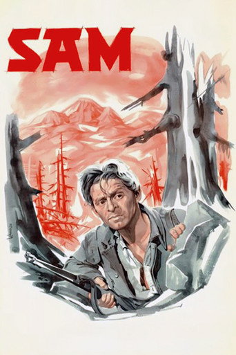 Póster de Сам
