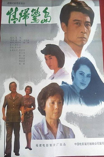 Póster de 情归鹭岛