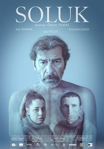 Póster de Soluk