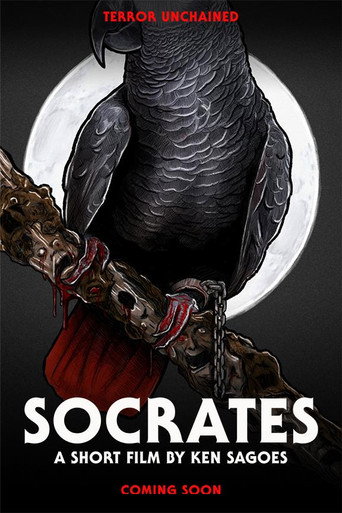Póster de Socrates