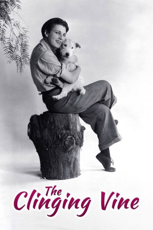 Póster de The Clinging Vine