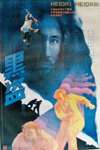 Póster de 黑盗