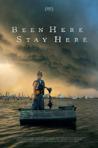 Póster de Been Here Stay Here