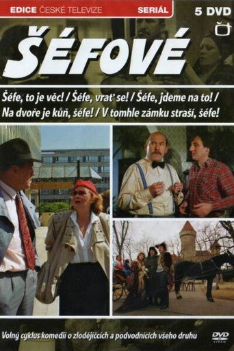 Póster de Na dvoře je kůň, šéfe!