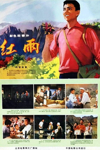 Póster de 红雨