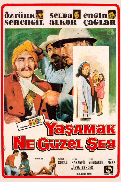 Póster de Yaşamak Ne Güzel Şey